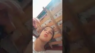 ay papacito
