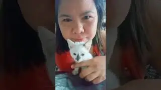 my baby😻....cfdc family vlogs #shorts #shortvideo #catlover #cat