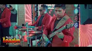 GRUPO LEALES DE AMOR / MIX RECUERDOS DE ORO (EN VIVO) ®2025