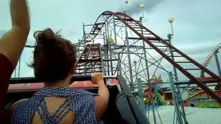Wildcat at Washington State Fair POV