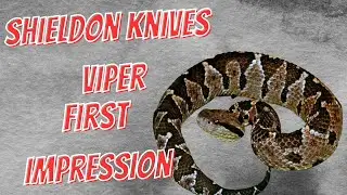 GARZA DESIGN SHIELDON VIPER | FIRST IMPRESSIONS