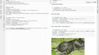 Markdown Preview Update