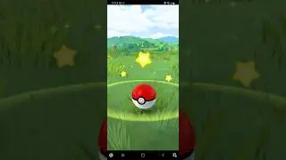 Pok&eacute;mon GO - Catching a Shiny Sewaddle