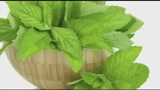 Herbs that help you focus