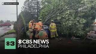 Tesla driver rescued after tree falls on vehicle during heavy storms