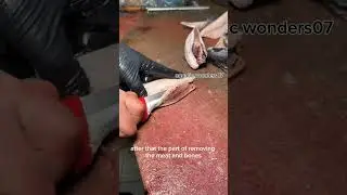 wow ! tutorial cutting fish #trendingshorts #ocean #facts #seafood #fish