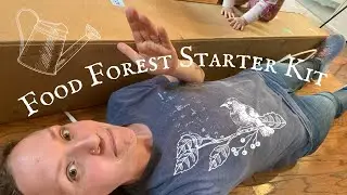 EDIBLE PERENNIALS HAUL | Cold Hardy Food Forest Year 1 | Trees, Berries, & Mushrooms