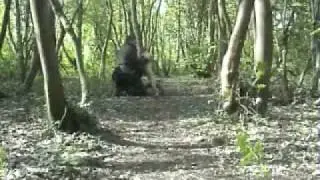 Gundog Training Building the Bond.wmv