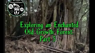 Bigfoot & More: Exploring an Enchanted Old Growth Forest: 5 