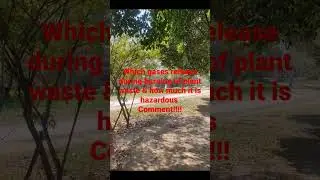 Plant waste#biology gases produce#neet#other option to produce manure#piyushhans