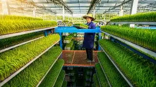 How to Import Agricultural Machinery from China | Import Export Guide Vlog #8