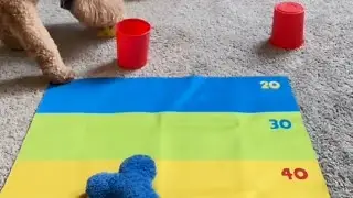 WEST PAW Dog's Best Friend Game&trade;   Fun Family Game for Kids & Adults Review