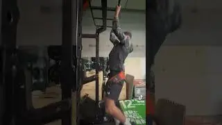 Vertical pull upper body free weight exercise- weighted pull up