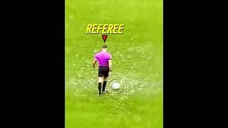Players vs Water + THEM