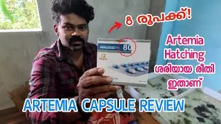 Artemia capsule malayalam | how to hatch artemia eggs 🔥 #artemia