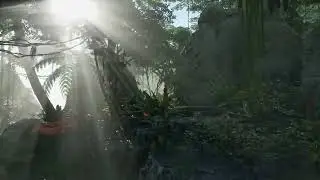 De ijzersterke DIBO heetwater hogedrukreinigers !