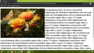 css lecture 8