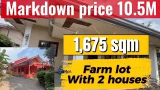 V1085-26 MARKDOWN PRICE ‼️1675 sqm farm lot with 2 houses with fruit trees and Mountain View 