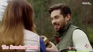 Chris McNally Some Hallmark Movies