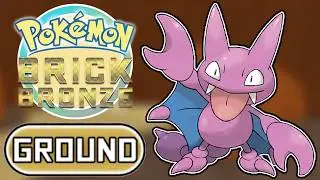 Pokemon Brick Bronze But ONLY Using Ground Types