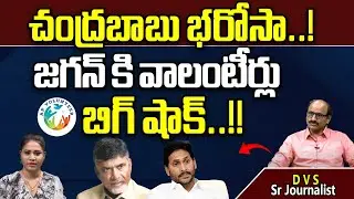 AP Volunteers Big Shock To CM Jagan | Chandrababu Naidu | TDP |  AP Elections 2024 | Wild Wolf Focus