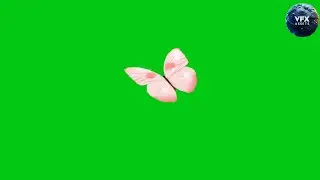 Pink Butterfly Green Screen #greenscreen #greenscreenfootage #butterflygreenscreen #butterfly
