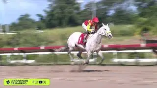 CARRERA 1 - 7/DICIEMBRE/2025 (CASTA DIVA)