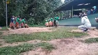 Epic Tribal Dance Kicks Off Gorilla Trekking in Bwindi!