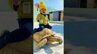 Hum Log Ghumna Aye Hy Funny video #shorts #ytshorts #funny #funnypets #funnybaby #viral #cute #pets