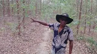 passeando pelo sitio RIO VÉLHO| COISAS DE MACEIO 