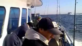 Chambeños por el Mundo ....De pesca por el  atlántico en NEW YORK