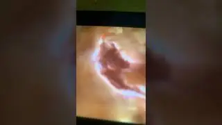 pobre Godzilla
