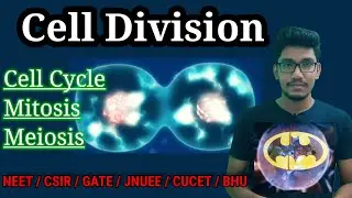 Cell Cycle and Cell division class | Cell Division | Mitosis and Meiosis | NEET | class11 | biology