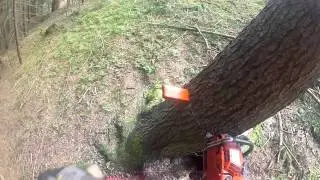 Rohstoffgewinnung Holz Teil 2 - Waldtechnik Tritscher [HD]
