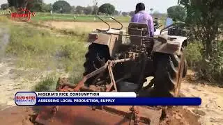 NIGERIA&rsquo;S RICE CONSUMPTION: ASSESSING LOCAL PRODUCTION, SUPPLY