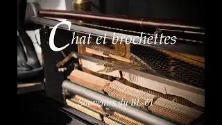 Chat et brochettes