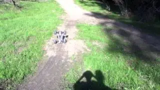 E-Maxx Brushless Power! Tacon 2150kv Put to the Test!