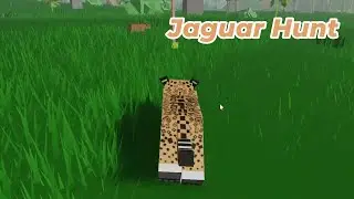 Roblox - Amazon Ascension Jaguar hunt