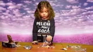 LEGO Elves Aira's Creative Workshop unboxing and build