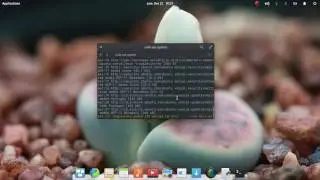 How to install elementary tweaks (Linux)