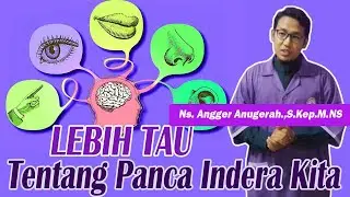 LEBIH TAU MENGENAI PANCA INDERA KITA ! DETAIL ANATOMI FISIOLOGI SISTEM PERSEPSI SENSORI