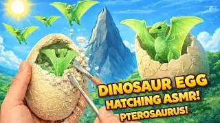 ASMR Tiny Digging &ndash; Unearthing an Pterosaurus from Solid Sand (No Talking)