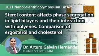 Sterol content affects phase segregation in lipid bilayers and their (...) | 2021NSSLatAm