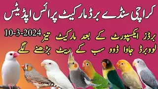 Sunday Birds Market price update | birds open market Lalukhait Karachi 2024