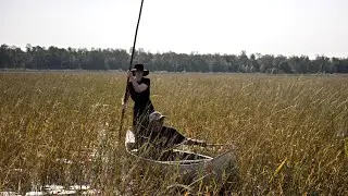 Wild Rice  (A Mini Doc)
