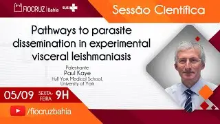 Pathways to parasite dissemination in experimental visceral leishmaniasis