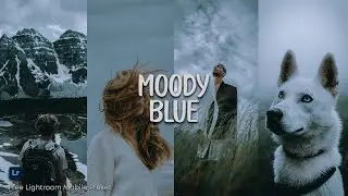 Moody Blue Preset - Free Lightroom Mobile Preset | Moody Preset