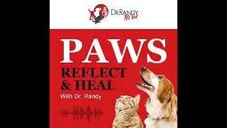 How Ozone Therapy Can Help Your Pet with Jonathan Lowe
