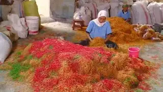 Kepoin Proses Pembuatan Karet Gelang | RAGAM INDONESIA (07/10/21)