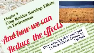 Crop residue Burning  effect on Environment